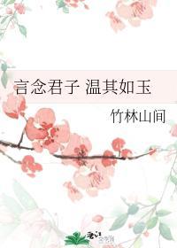 言念君子 温其如玉封面