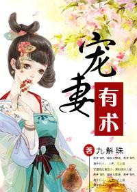 宠妻有术封面