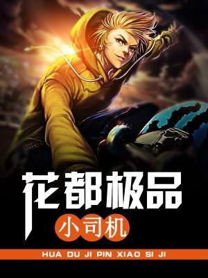 花都极品小司机封面