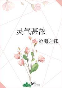 灵气甚浓封面