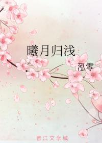 曦月归浅封面