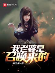 我老婆是召唤来的封面
