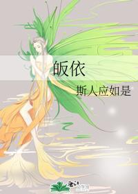 皈依封面