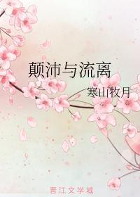 颠沛与流离封面