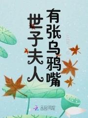 世子夫人有张乌鸦嘴封面