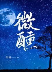 微醺封面