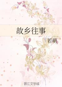 小童的年少往事封面