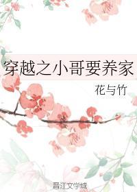 穿越之小哥要养家封面