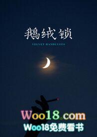 鹅绒锁封面