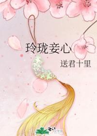 玲珑妾心封面