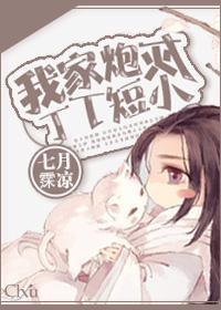 我家炮灰丁丁短小封面