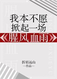 我本不愿掀起一场腥风血雨封面