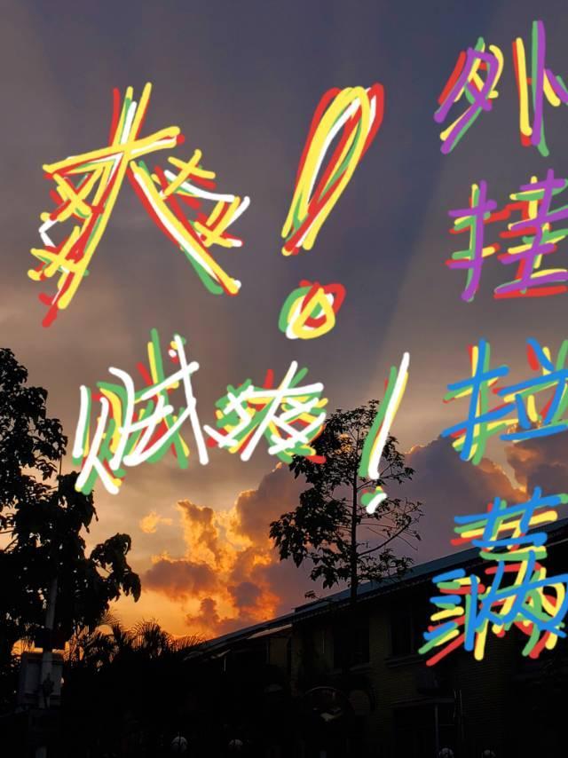在荒岛种田后我成神了封面