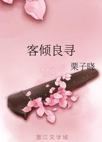 客倾良寻封面