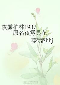 夜雾昙花封面
