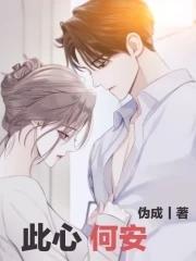 此心何安封面