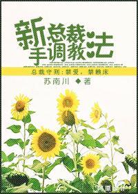 新手总裁教导法封面