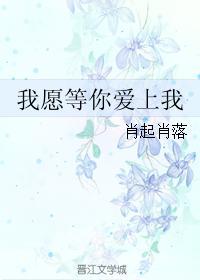 我愿等你爱上我封面