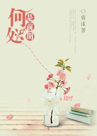 何处是前期封面