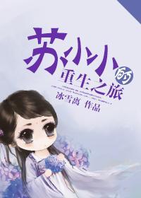 苏小小的重生之旅封面