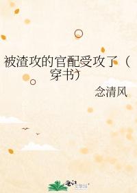 被渣攻的官配受攻了（穿书）封面