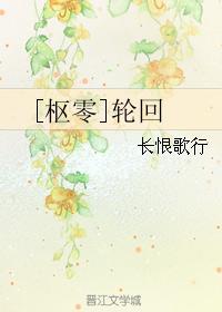 [枢零]轮回封面