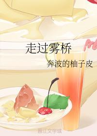 走过雾桥封面