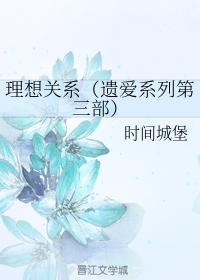 理想关系（遗爱系列第三部）封面