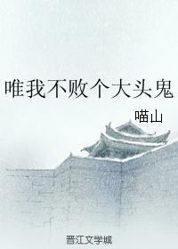 唯我不败个大头鬼封面