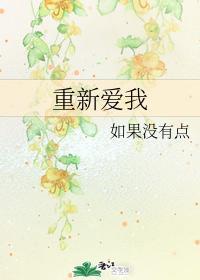 重新爱我封面