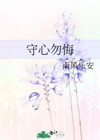 守心勿悔封面