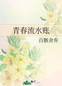 青春流水账封面