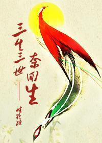 三生三世奈回生封面