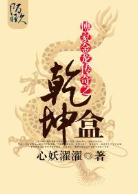 傅家金龙传奇之干坤盒封面