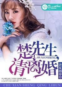 楚先生，请离婚封面