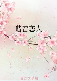 谐音恋人封面