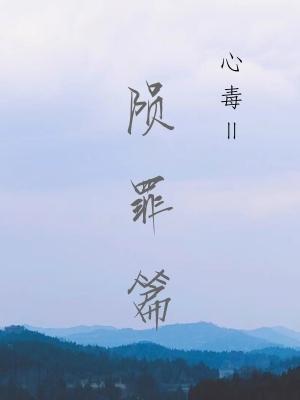 心毒之陨罪书封面
