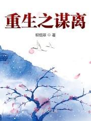 重生之谋离封面