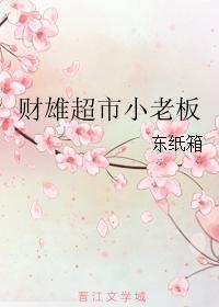 财雄超市小老板封面