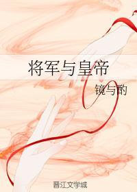 将军与皇帝封面