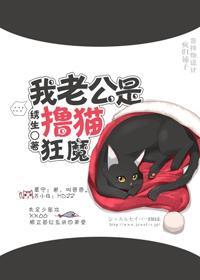 我老攻是撸猫狂魔封面