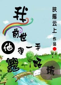 我前世挖得一手好坑封面