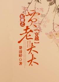 穿越红楼之贾老太太封面