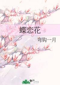 蝶恋花封面