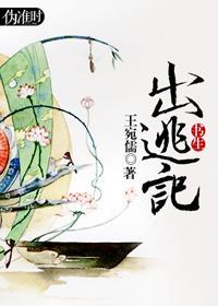 书生出逃记封面