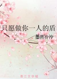 只愿做你一人的盾封面