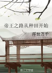 帝王之路从种田开始封面