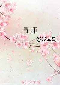 寻师封面