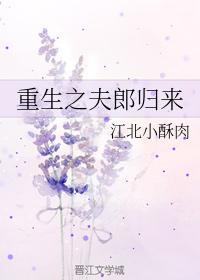重生之夫郎归来封面