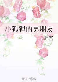 小狐貍的男朋友封面